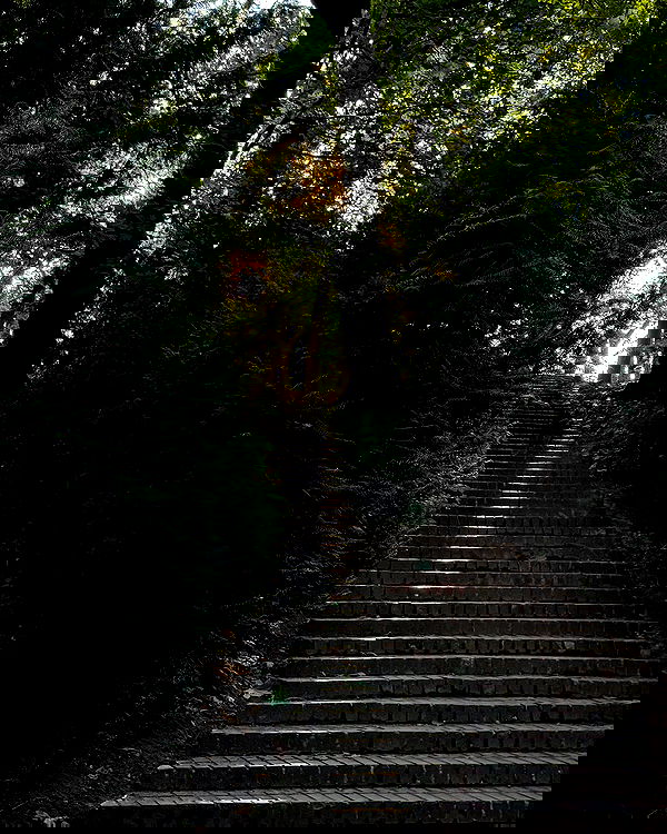 carolinezalog carolinezalog archive image