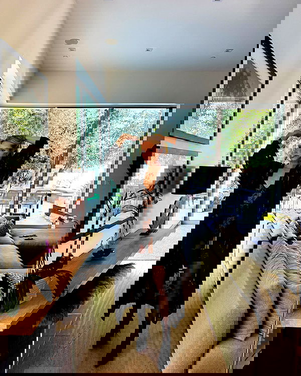 carolinezalog carolinezalog archive image