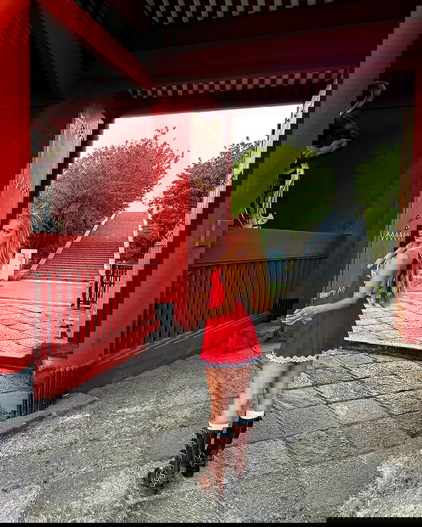 carolinezalog carolinezalog archive image