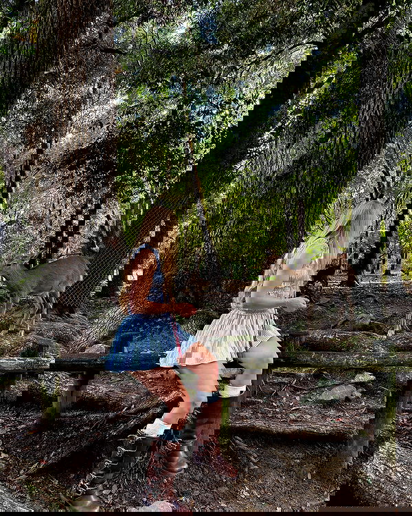 carolinezalog carolinezalog archive image