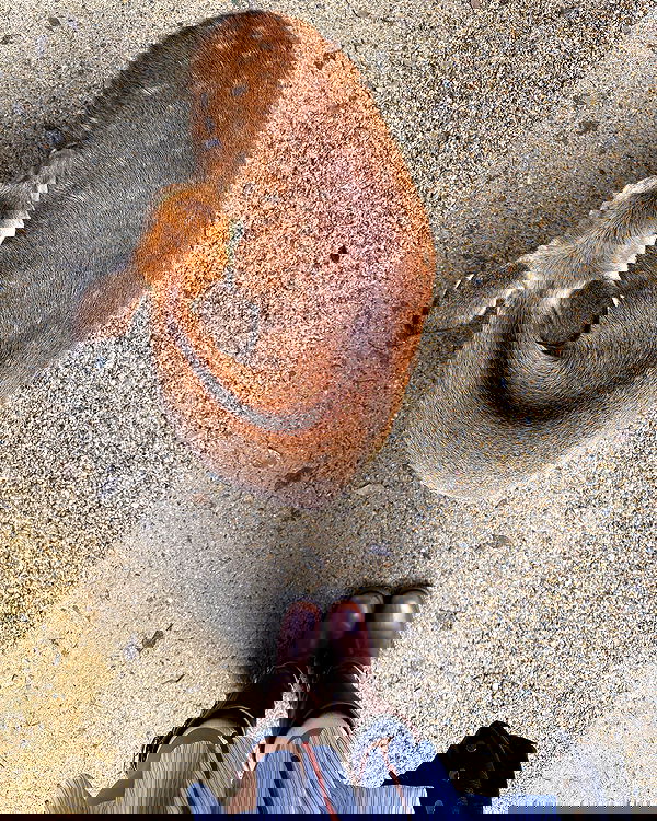 carolinezalog carolinezalog archive image