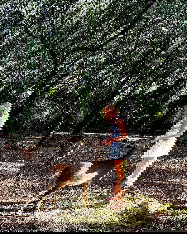 carolinezalog carolinezalog archive image