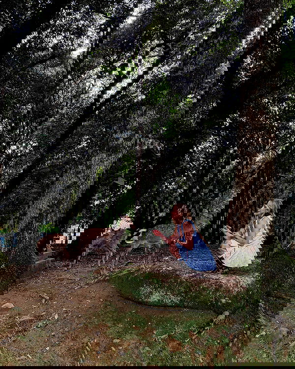 carolinezalog carolinezalog archive image