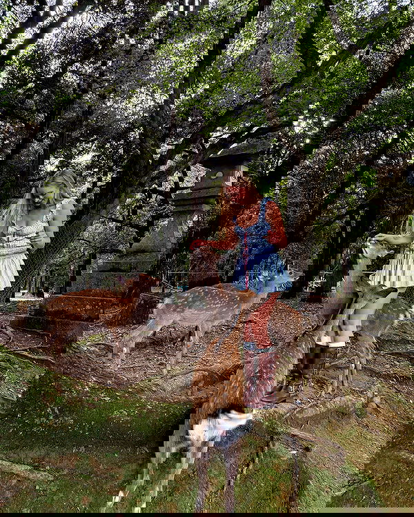 carolinezalog carolinezalog archive image