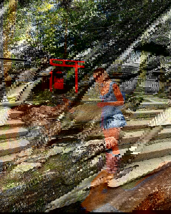 carolinezalog carolinezalog archive image