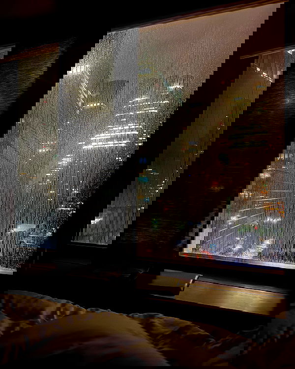 carolinezalog carolinezalog archive image