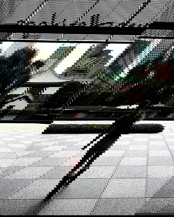 carolinezalog carolinezalog archive image