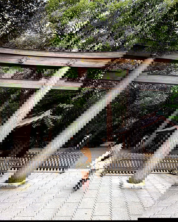 carolinezalog carolinezalog archive image