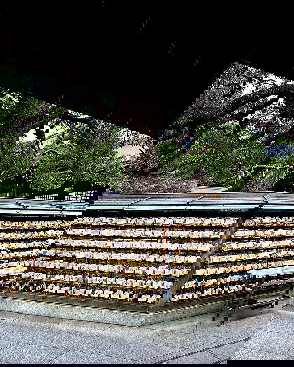 carolinezalog carolinezalog archive image