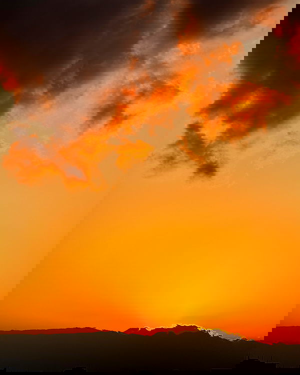 carolinezalog carolinezalog archive image