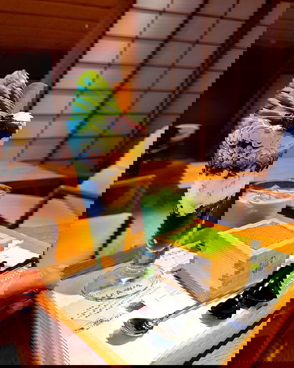 carolinezalog carolinezalog archive image