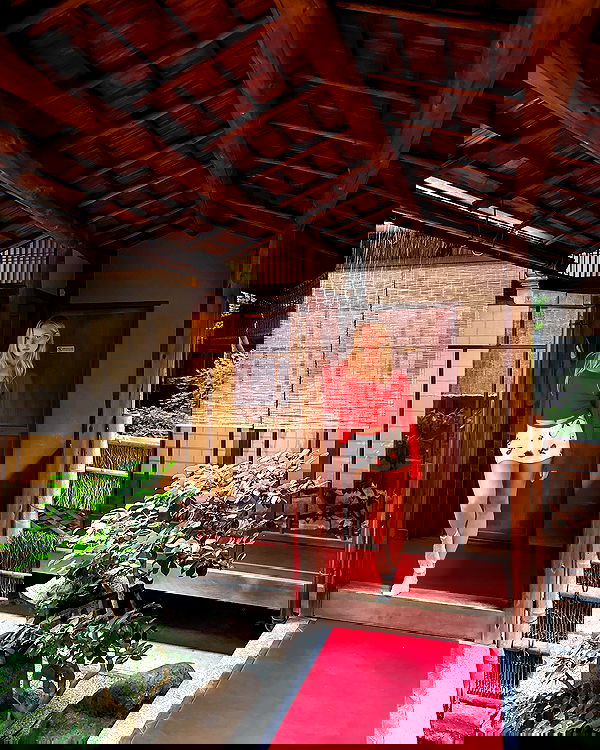 carolinezalog carolinezalog archive image