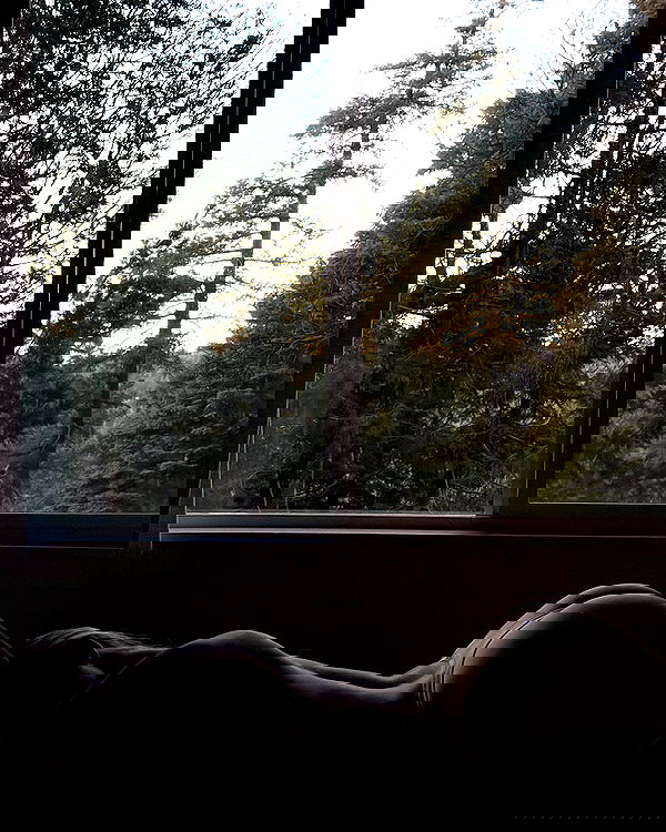 carolinezalog carolinezalog archive image