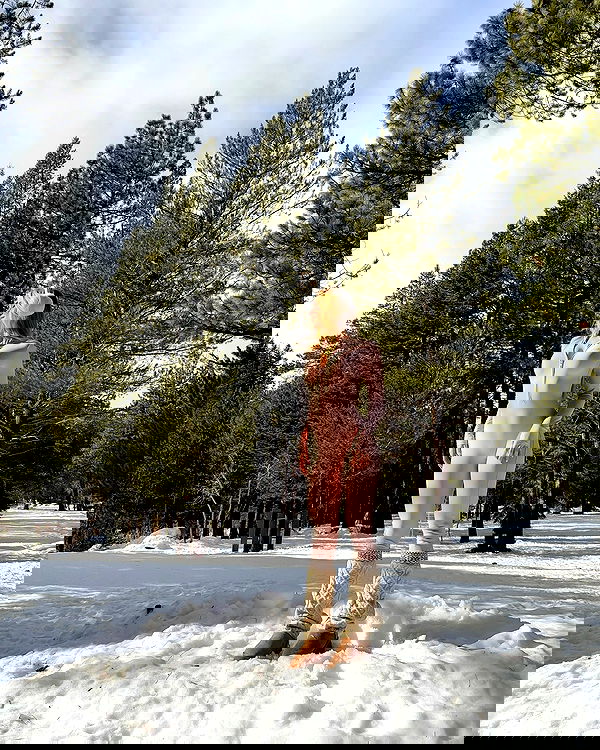 carolinezalog carolinezalog archive image