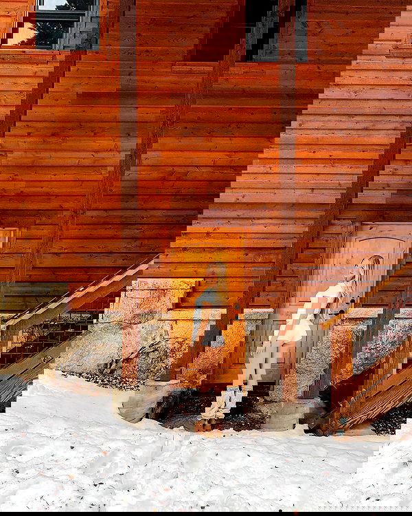 carolinezalog carolinezalog archive image