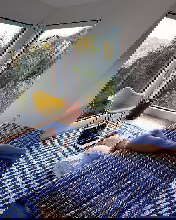 carolinezalog carolinezalog archive image