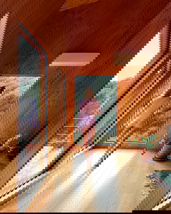 carolinezalog carolinezalog archive image