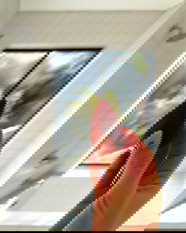 carolinezalog carolinezalog archive image