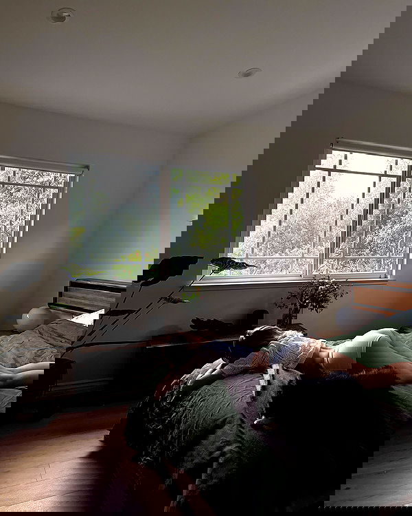 carolinezalog carolinezalog archive image