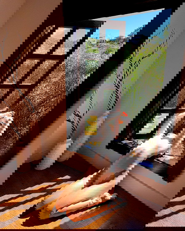 carolinezalog carolinezalog archive image