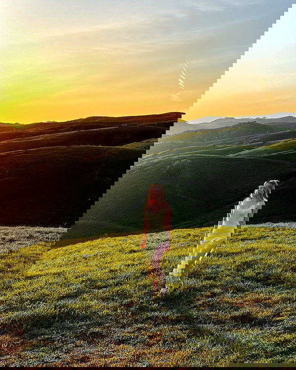 carolinezalog carolinezalog archive image