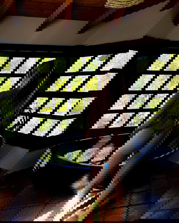 carolinezalog carolinezalog archive image