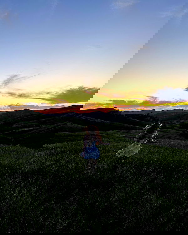 carolinezalog carolinezalog archive image