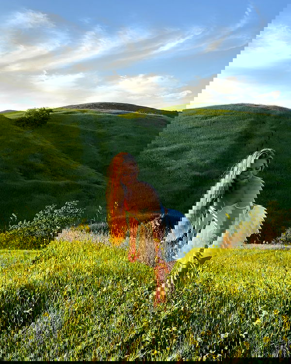 carolinezalog carolinezalog archive image