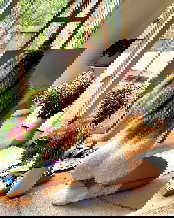 carolinezalog carolinezalog archive image