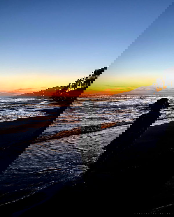 carolinezalog carolinezalog archive image