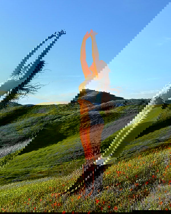 carolinezalog carolinezalog archive image