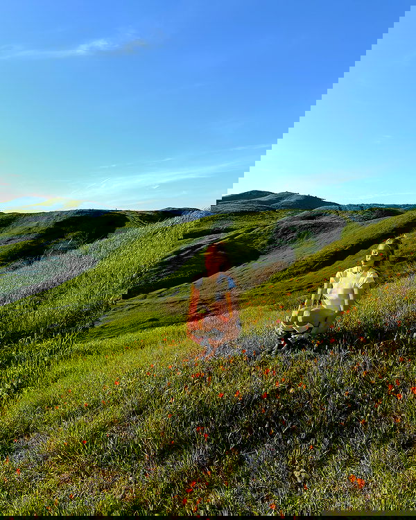 carolinezalog carolinezalog archive image