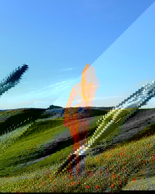 carolinezalog carolinezalog archive image