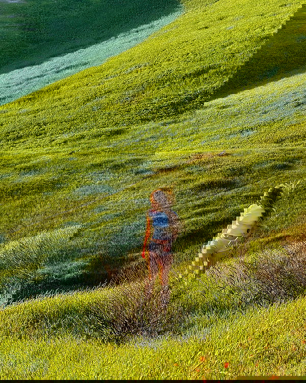 carolinezalog carolinezalog archive image