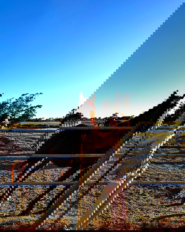 carolinezalog carolinezalog archive image