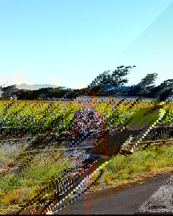 carolinezalog carolinezalog archive image