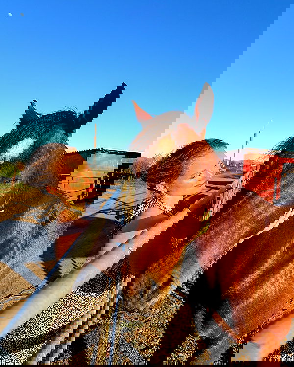 carolinezalog carolinezalog archive image