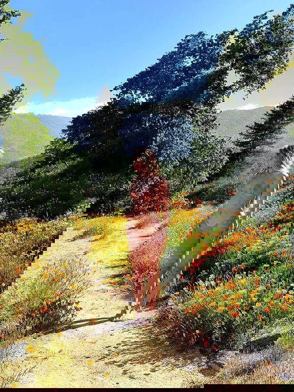 carolinezalog carolinezalog archive image