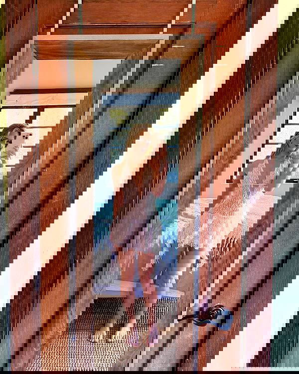 carolinezalog carolinezalog archive image