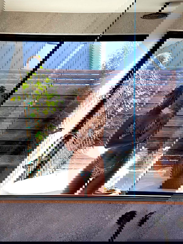 carolinezalog carolinezalog archive image