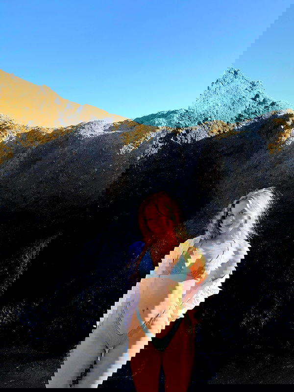 carolinezalog carolinezalog archive image