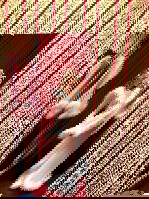 carolinezalog carolinezalog archive image