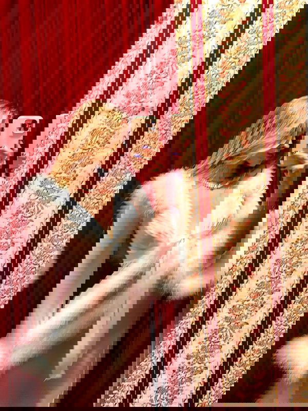 carolinezalog carolinezalog archive image