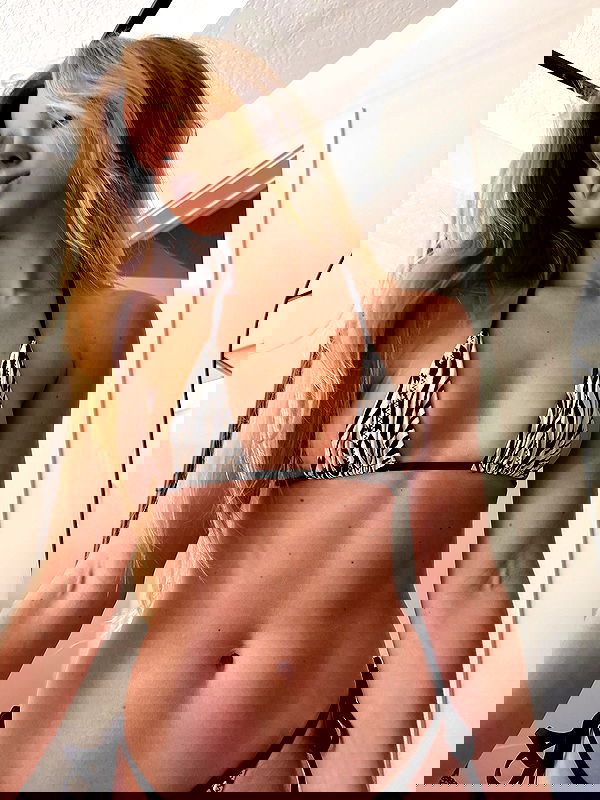 carolinezalog carolinezalog archive image