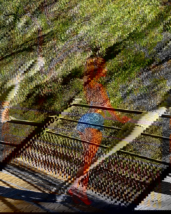 carolinezalog carolinezalog archive image