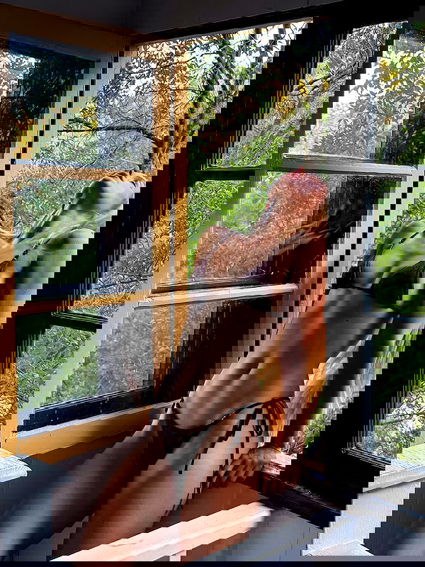 carolinezalog carolinezalog archive image