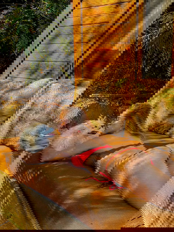 carolinezalog carolinezalog archive image