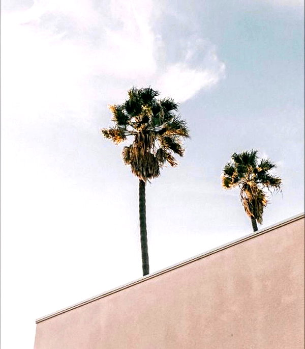caseboon instagram image archive image