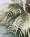 caseboon Altpins Profile Picture