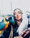 caseboon Altpins Profile Picture